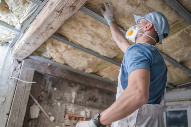 Best Energy-efficient Insulation  in Tuba City, AZ